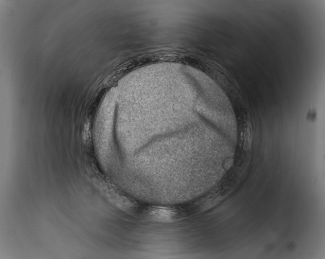 X0000115010610200911231228