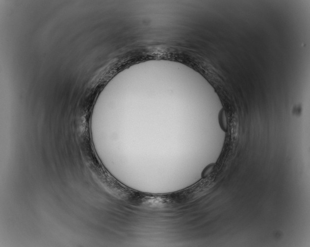 X0000115010611200911231228