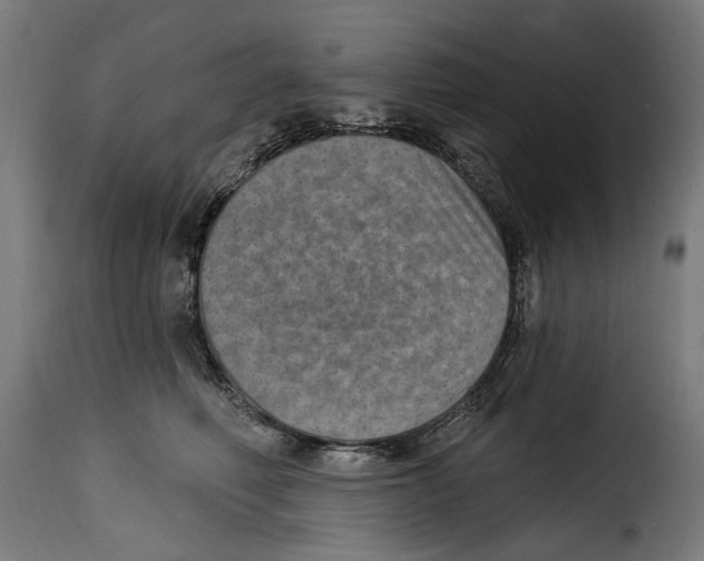 X0000115010614200911231228