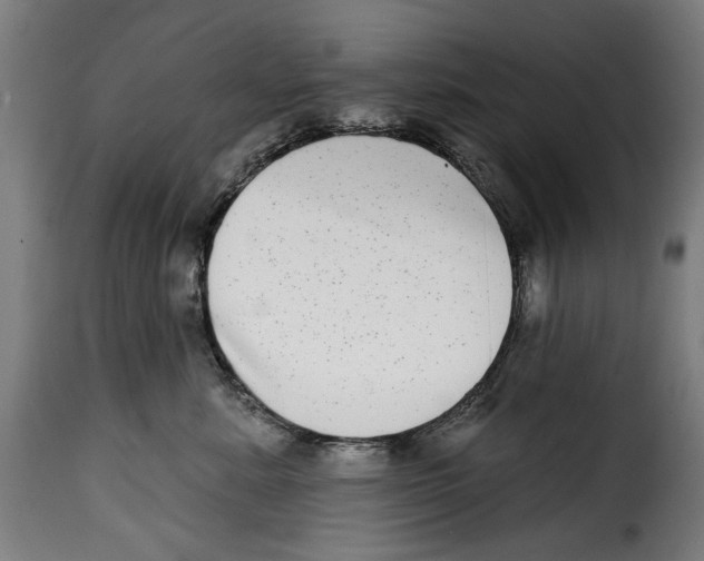 X0000115010619200911231228