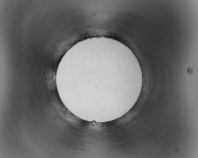 X0000115010624200911231228