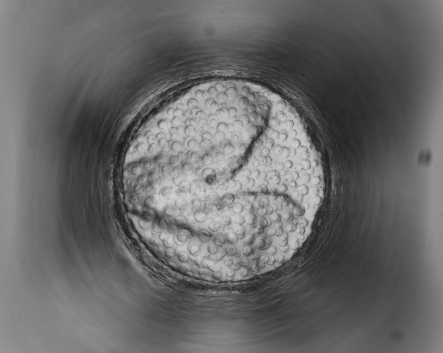 X0000115010626200911231227