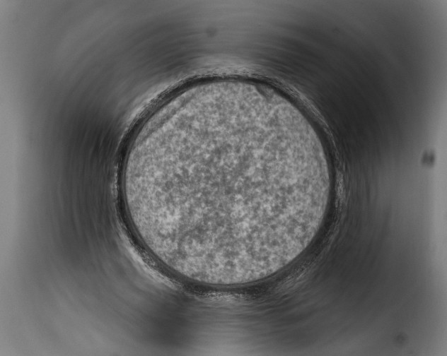 X0000115010629200911231227
