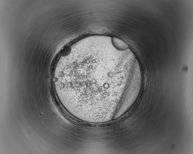 X0000115010630200911231227
