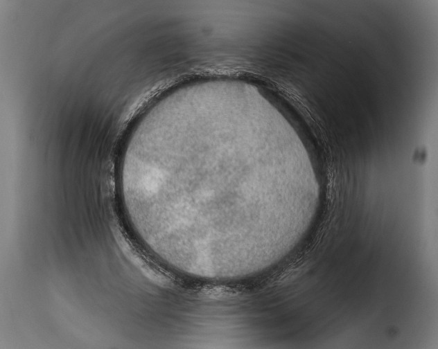 X0000115010634200911231227