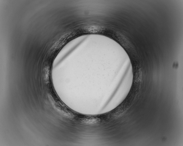X0000115010646200911231228
