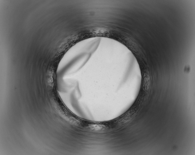 X0000115010654200911231228