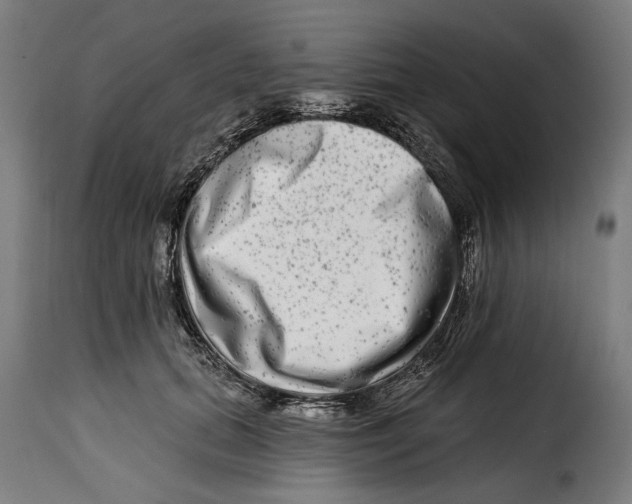 X0000115010655200911231228