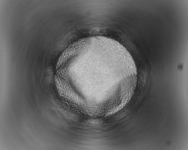 X0000115010659200911231228