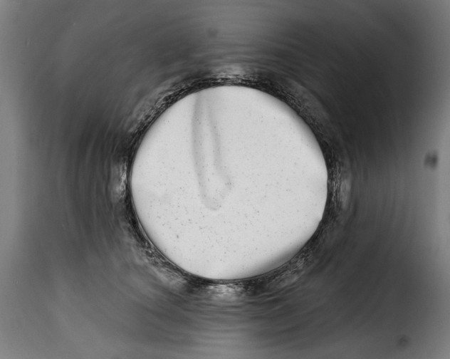 X0000115010660200911231228
