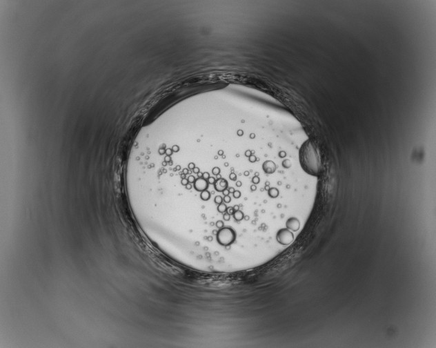X0000115010661200911231228