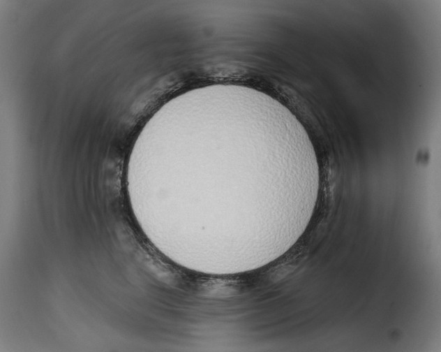 X0000115010664200911231228