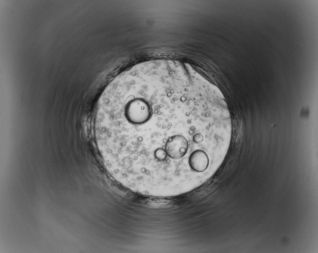 X0000115010669200911231228