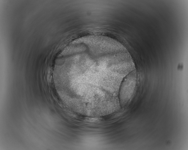 X0000115010671200911231228
