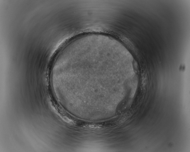 X0000115010680200911231227