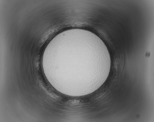 X0000115010687200911231227