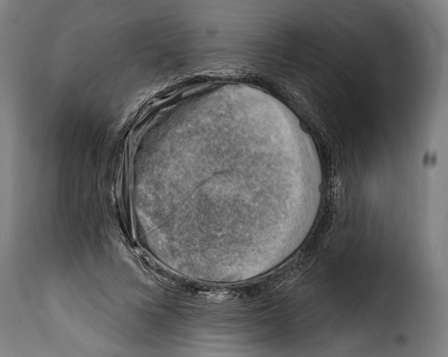 X0000115010688200911231227