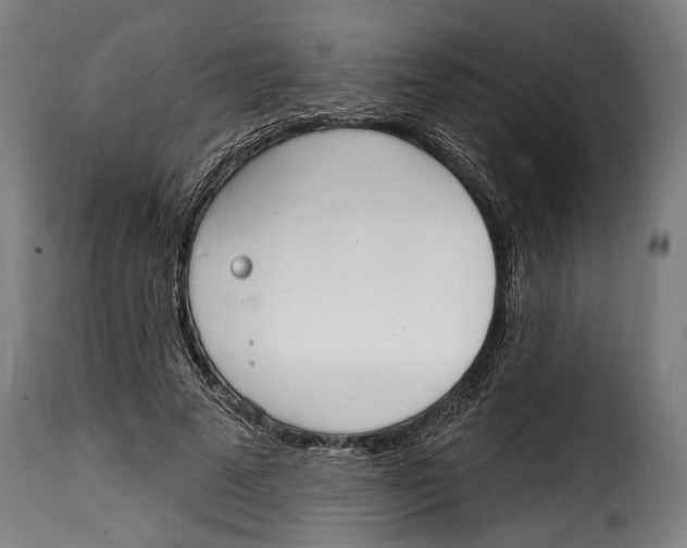 X0000115010689200911231227