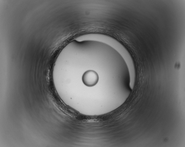X0000115010692200911231227