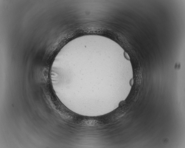 X0000115010695200911231227