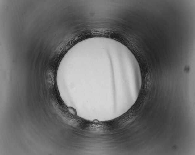 X0000115010699200911231227