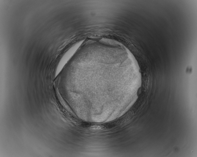 X0000115010704200911231227