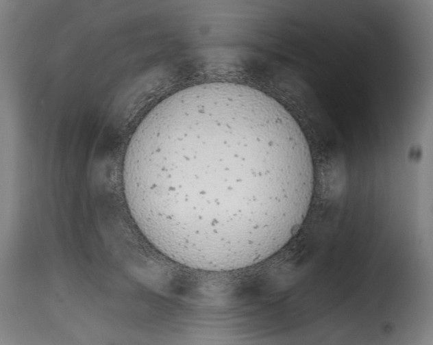 X0000115010705200911231227