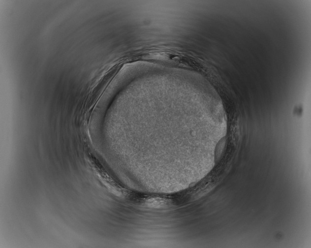 X0000115010708200911231227