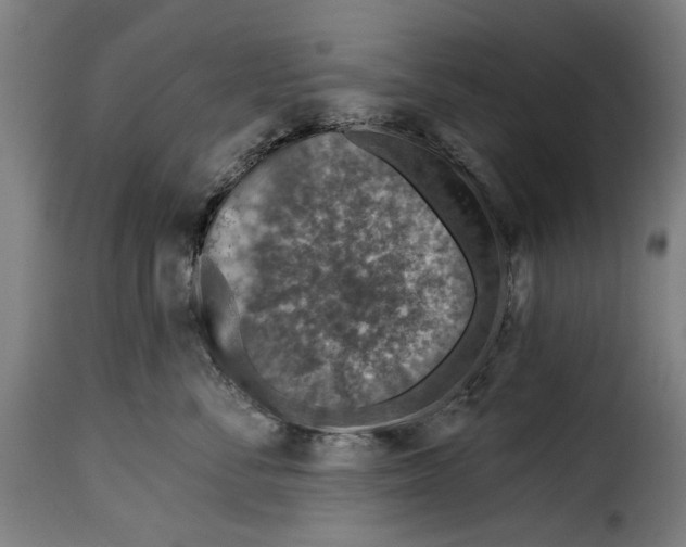 X0000115010716200911231227
