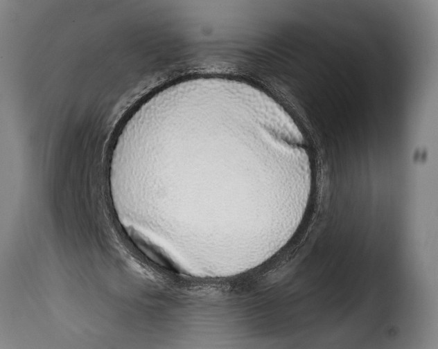 X0000115010721200911231226
