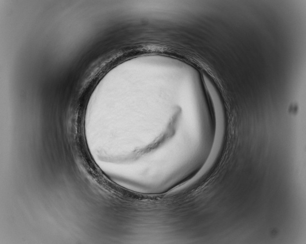 X0000115010722200911231226