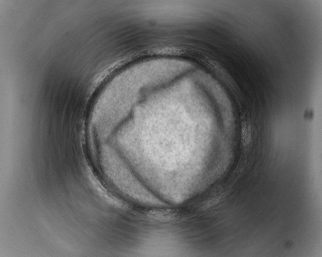 X0000115010725200911231226