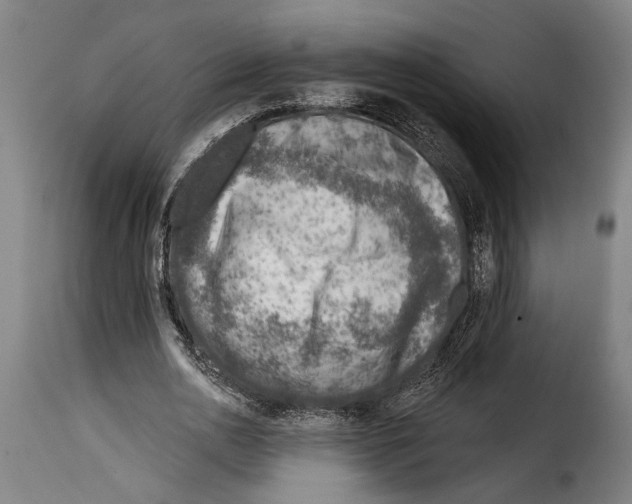 X0000115010726200911231226