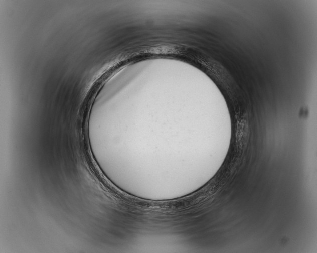 X0000115010727200911231226