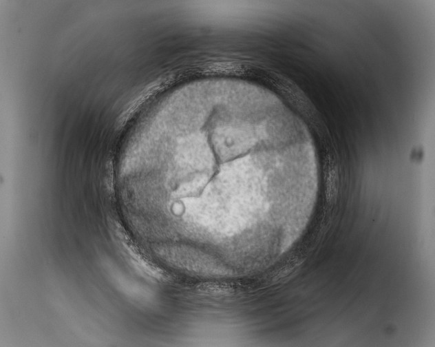 X0000115010729200911231226
