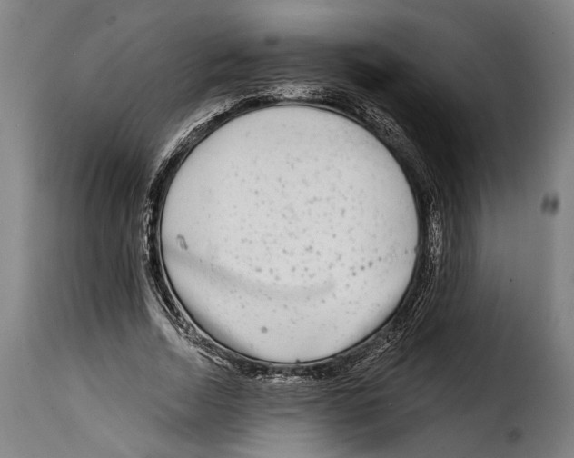 X0000115010730200911231226