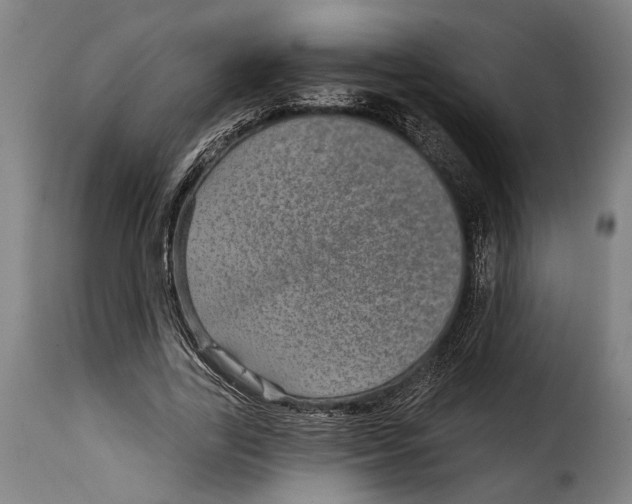 X0000115010731200911231226