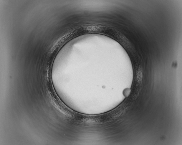 X0000115010733200911231226