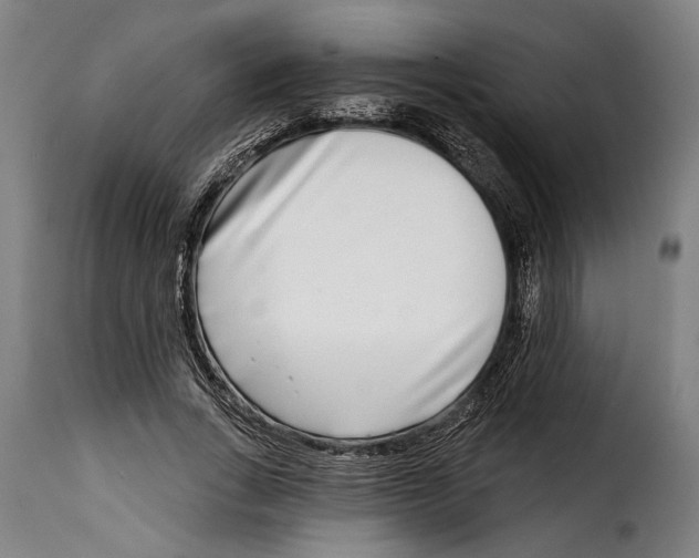 X0000115010735200911231226