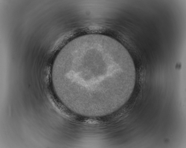X0000115010742200911231226