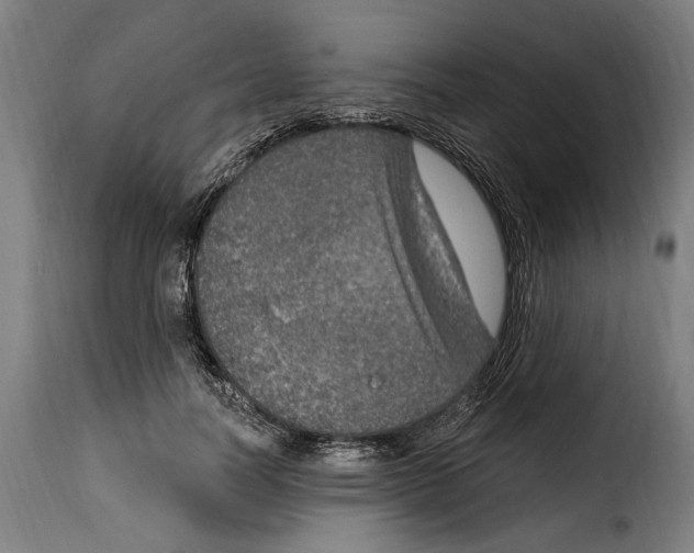 X0000115010746200911231226