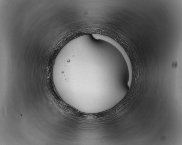 X0000115010750200911231226