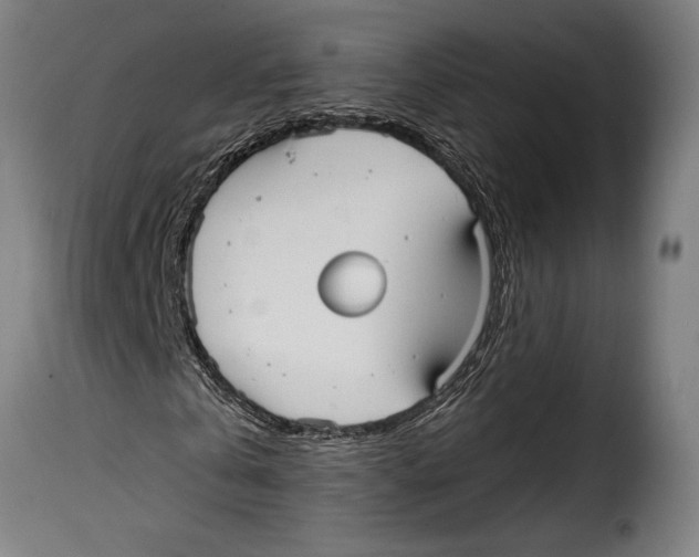 X0000115010769200911231226