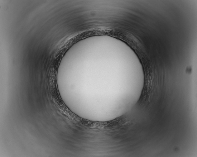 X0000115010773200911231226