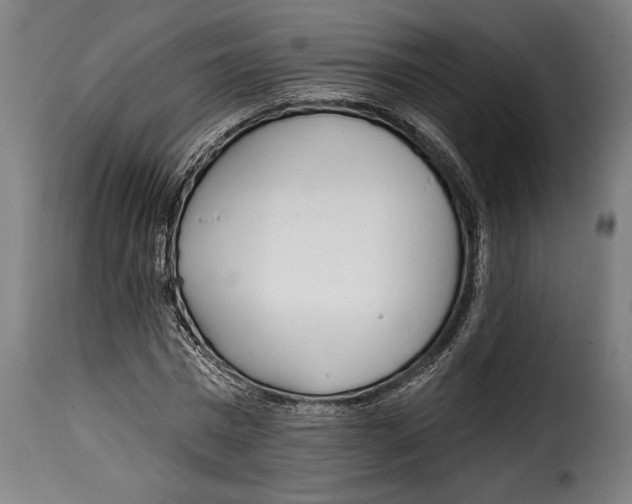 X0000115010777200911231226