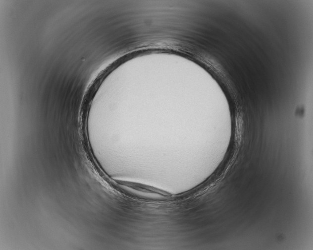 X0000115010780200911231226