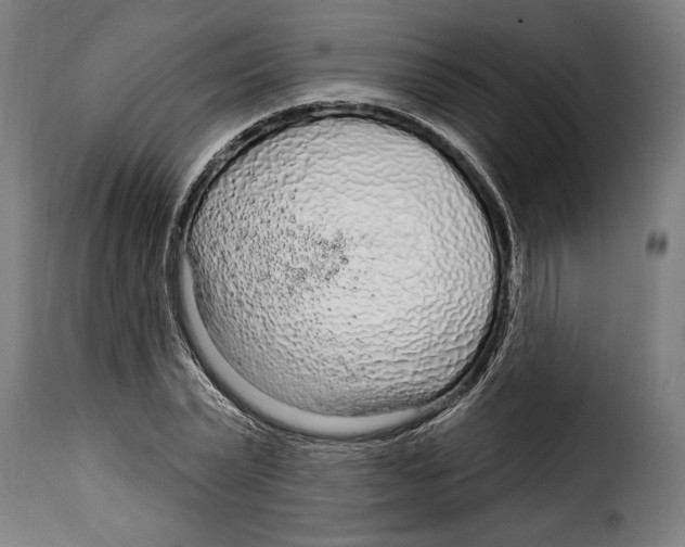 X0000115010783200911231226