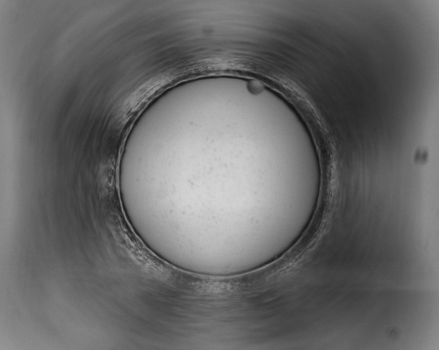 X0000115010785200911231226