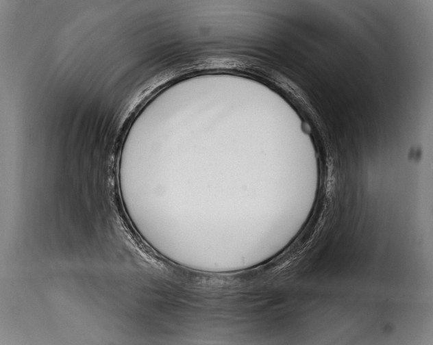 X0000115010786200911231226