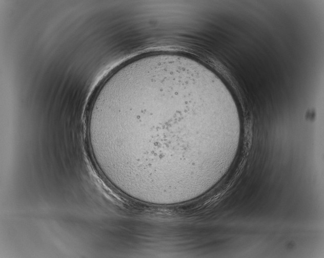 X0000115010787200911231226
